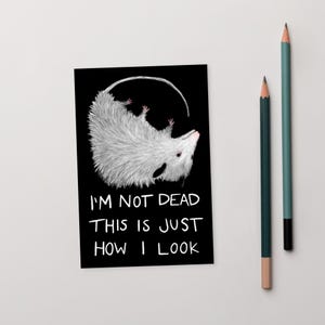 4x6 ART PRINT POSTCARD  Not Dead Possum Folk Art Funny Cards Memes Whimsical Weird Cute Housewarming Opossum Birthday Gift Quirky Goth