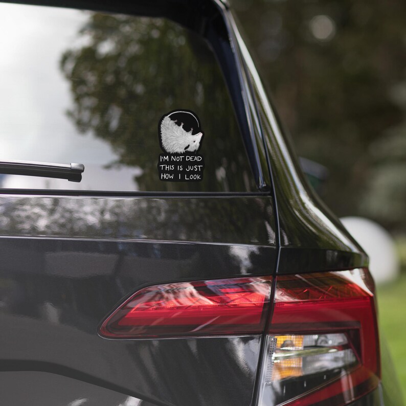 May include: A black car with a white sticker on the back window. The sticker features a cartoon animal and the text "I'm not dead this is just how I look."