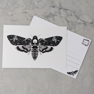 POSTAL CON LÁMPARA DE ARTE DE 4x6 Polilla Goblincore Dark Academia Regalos de cumpleaños Insecto extraño Ejemplar Bosque Muerte Cabeza Halcón Arte de calavera gótica espeluznante
