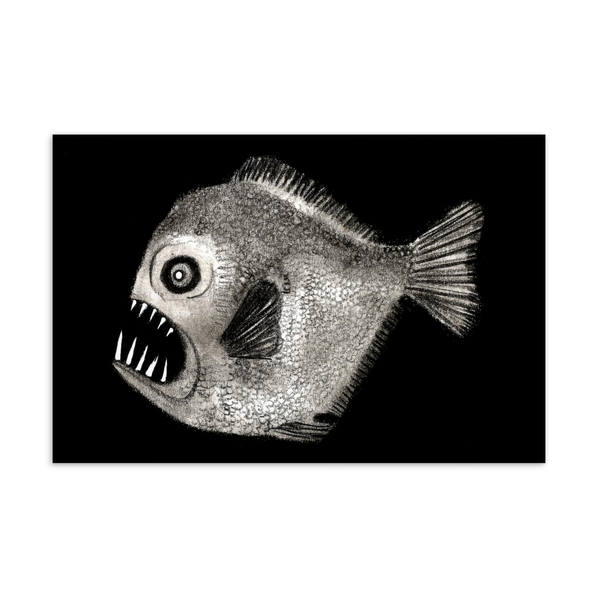 4x6 アートプリント ポストカード 深海魚 アンコウ モンスター