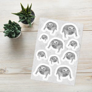 VINYL STICKER SHEET Weird Frog Folk Art Gothic Stickers Dark Academia Goth Cell Phone Car Decal Frogs Birthday Gift Weird Funny Spring Gifts