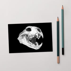 4 x 6 ART PRINT CARTE POSTALE Chat crâne anatomie Goblincore Dark Academia Folk Art carte à collectionner OS dessin squelette gothique Punk horreur étrange
