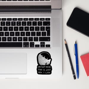 May include: A white laptop computer with a black keyboard and a sticker on the right side of the trackpad. The sticker features a black and white illustration of a possum with the text "I'm not dead this is just how I look".