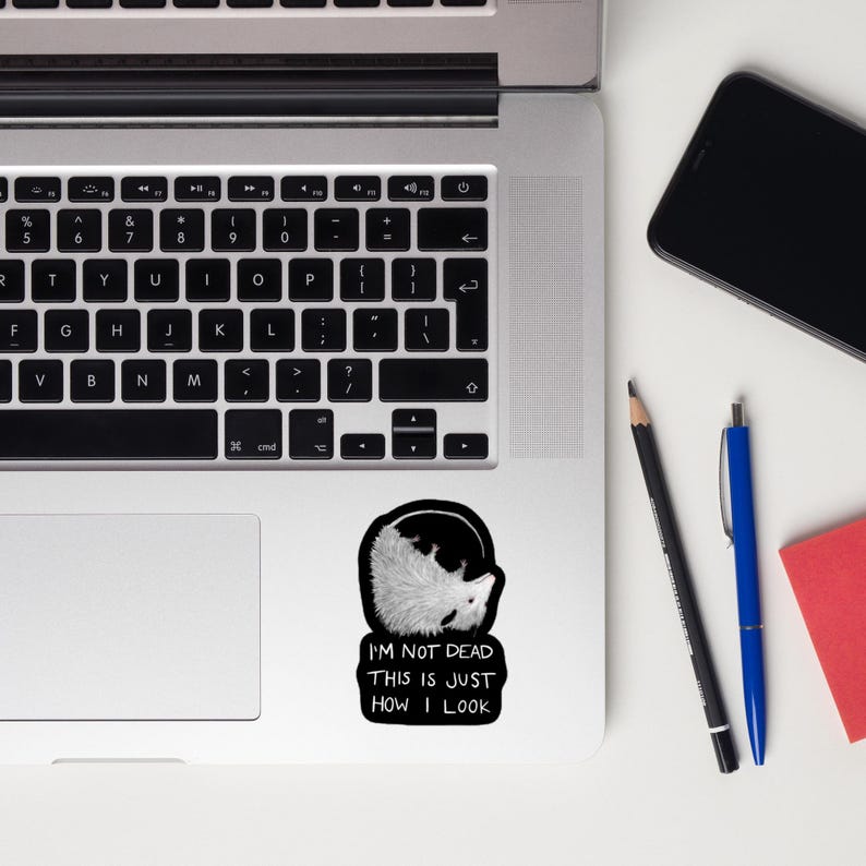 May include: A white laptop computer with a black keyboard and a sticker on the right side of the trackpad. The sticker features a black and white illustration of a possum with the text "I'm not dead this is just how I look".