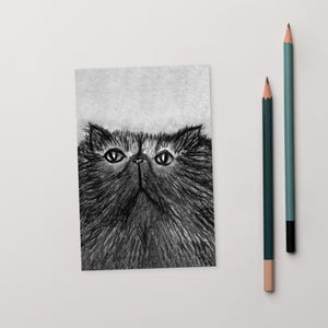 POSTAL CON IMPRESIÓN ARTÍSTICA DE 4x6 Gato persa esponjoso Kawaii Lindo Gato Himalaya Regalos para amantes de los gatos Inauguración de casa peculiar Regalo de cumpleaños caprichoso Regalos de primavera