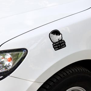 May include: A white car with a black and white sticker on the side. The sticker features a cartoon animal with the text "I'm not dead this is just how I look".