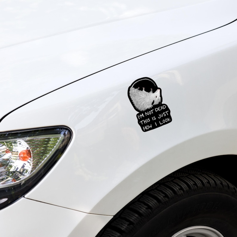 May include: A white car with a black and white sticker on the side. The sticker features a cartoon animal with the text "I'm not dead this is just how I look".