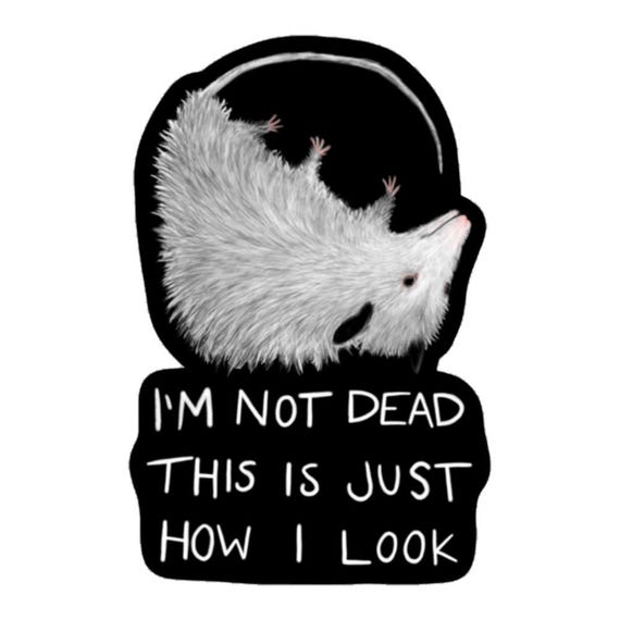 VINYL STICKER 'Possum Not Dead Cell Phone Decal Water Bottle Stickers Car Decals Dark Academia Weird Gothic Opossum Goth Funny Birthday Gift