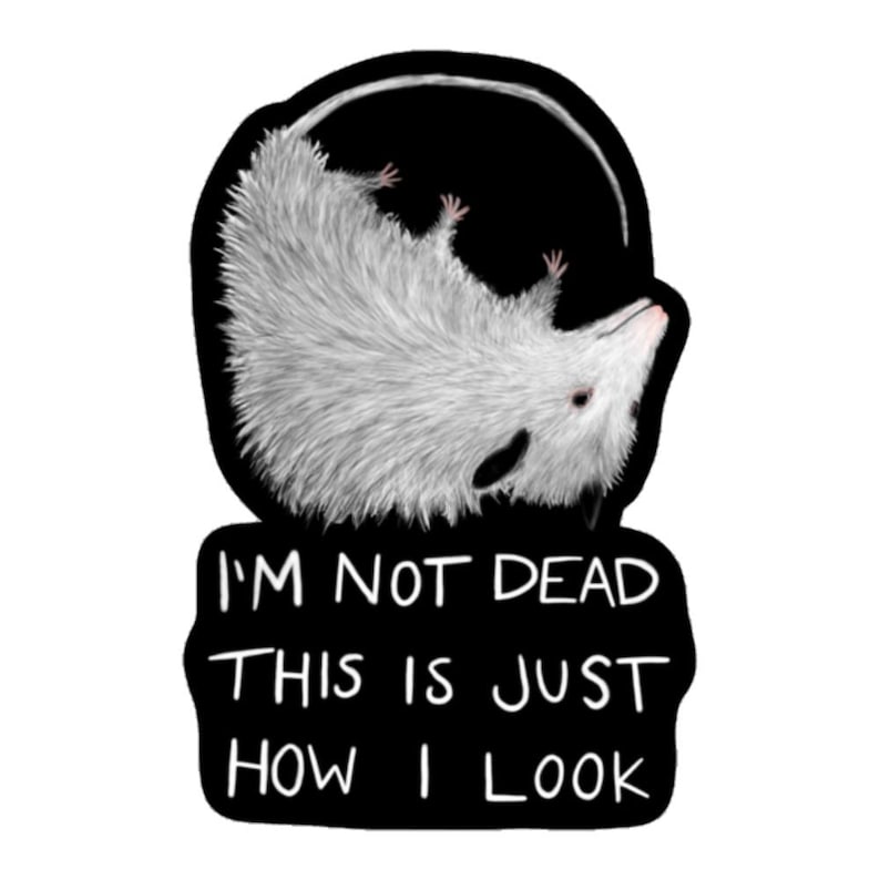 May include: A black and white sticker with a cartoon possum curled up in a ball. The text "I'm not dead this is just how I look" is written in white on a black background.