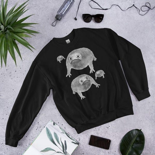 CLASSIC SWEATSHIRT Weird Frog Goblincore Dark Academia Cottagecore Birthday Gifts Jumper Funny Toad Sweater Quirky Whimsical Cute Rain Frog