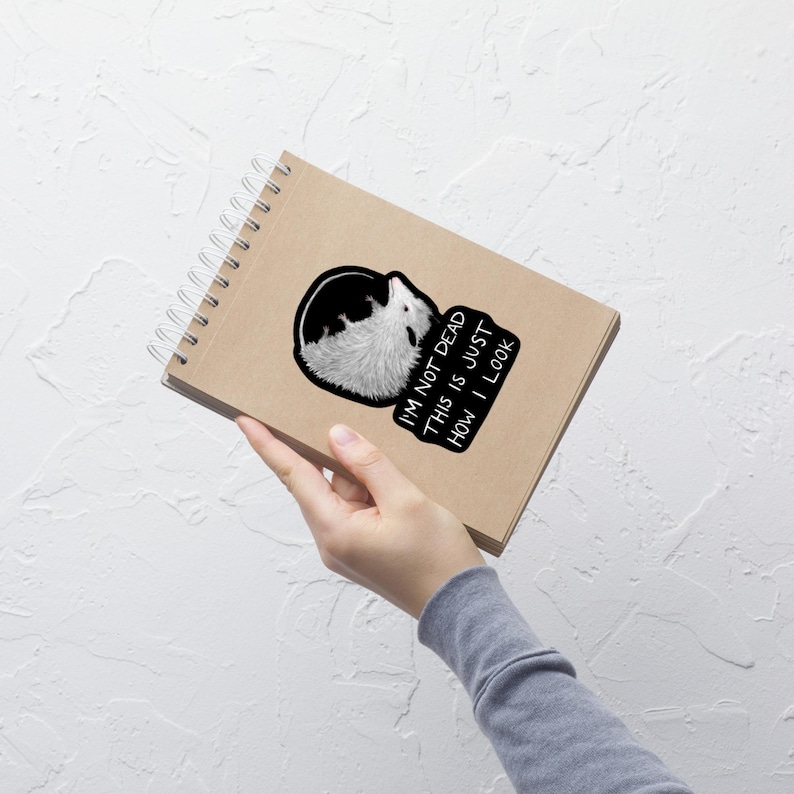 VINYL STICKER 'Possum Not Dead Cell Phone Decal Water Bottle Stickers Car Decals Dark Academia Weird Gothic Opossum Goth Funny Birthday Gift
