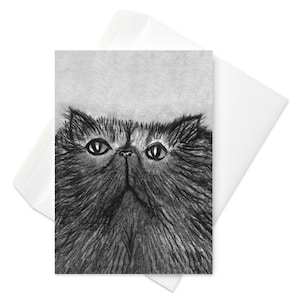 CARTE DE VOEUX Chat persan moelleux Art folklorique Chats kawaii Chats de l'Himalaya mignons fantaisistes Cadeaux d'anniversaire de pendaison de crémaillère Cartes originales Kitty poil long