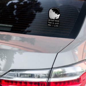 May include: A black and white car sticker with a possum curled up and the text "I'm not dead this is just how I look".