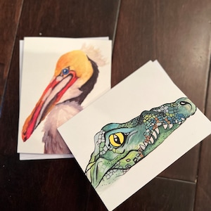 Set di 4 carte per pellicani e alligatori