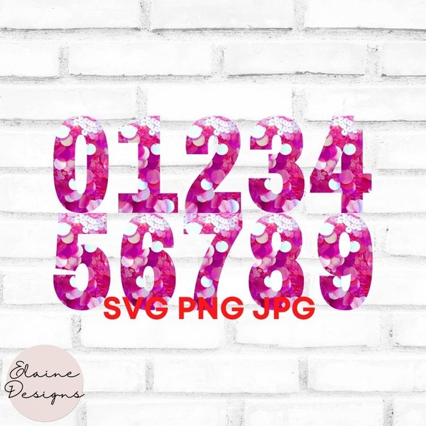 Hot Pink Sequin Glitter Numbers Sparkle Numbers sparkly numbers Wedding Table Number Golden Birthday Numbers 0-9 Clipart SVG PNG JPG Set 82