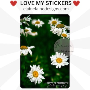 Sticker carte Presto, sticker marguerites, marguerites blanches, sticker printemps, souvenir, stickers nature, sticker photo, sticker carte, photo 5