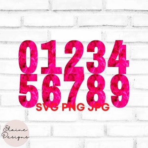 Pinke Feder Nummern Neonpink Hochzeit Tischnummern Party Nummern Soft Feature Texture Nummer 0-9 Clipart SVG PNG Set 201