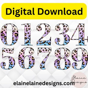 Cheetah Numbers, Rainbow Cheetah numbers, Leopard numbers, Cheetah, Cheetah, Birthday Numbers, Number clipart, png, rainbow numbers, set 670