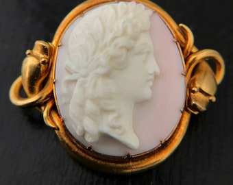 May include: A gold-toned cameo brooch with a white cameo of a woman's profile wearing a wreath. The cameo is set in a pink oval background.