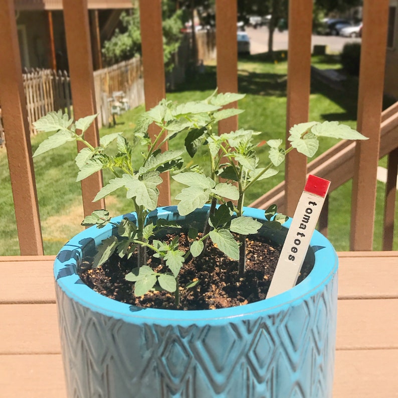 Ceramic Vegetable Garden Markers Ceramic Plant Name Stakes