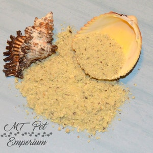 Eggplant - Hermit Crab Food