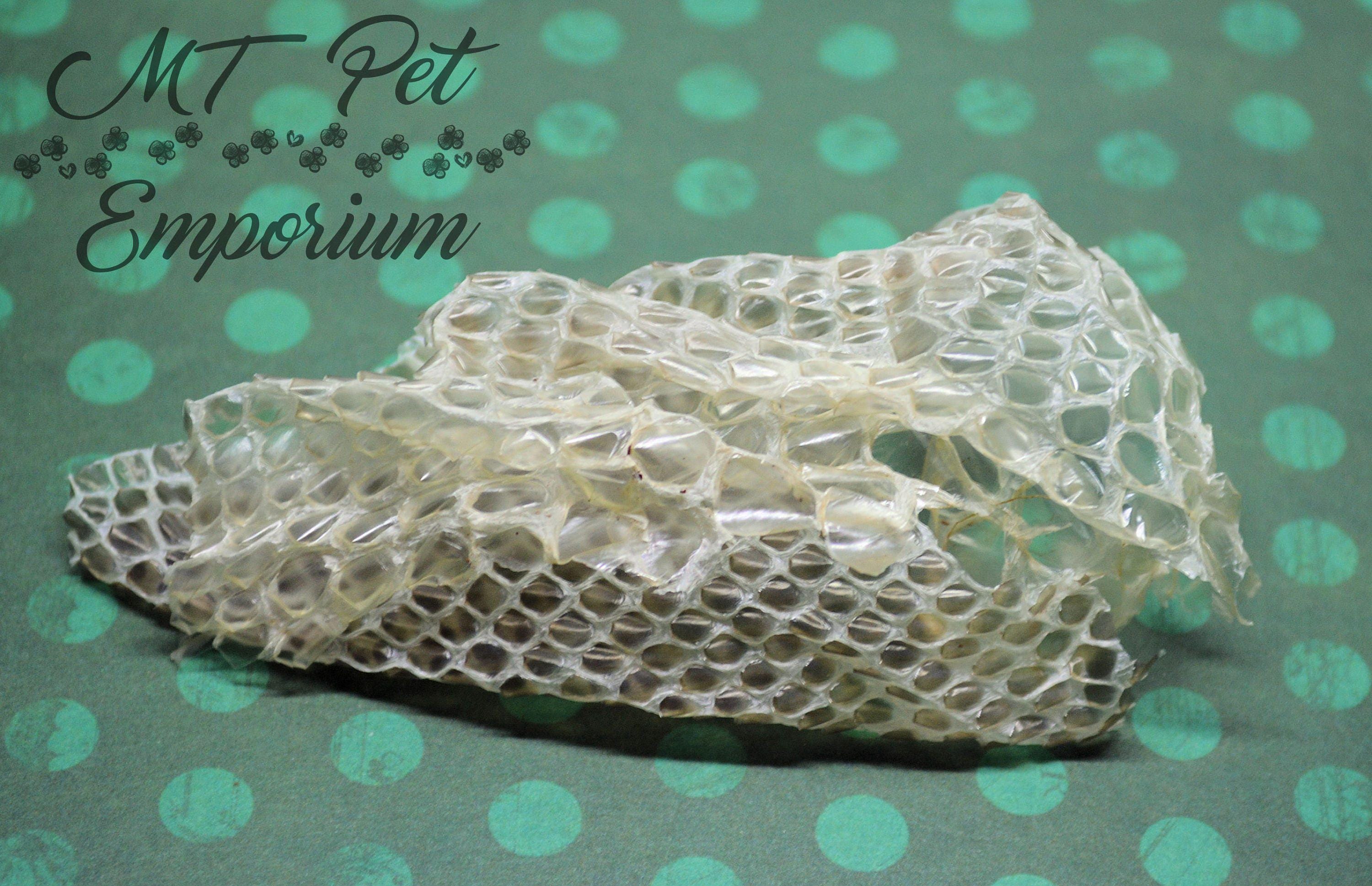Snakeskin -  Hermit Crab Food