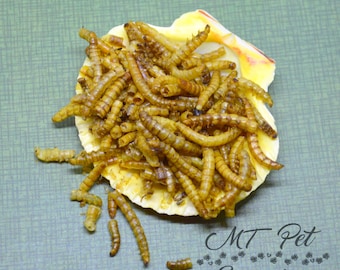 Mealworms - Hermit Crab Food