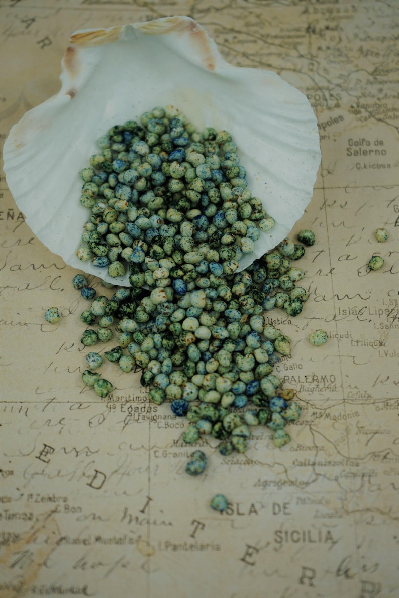 Ocean Puffs - Hermit Crab Treat image 1