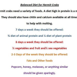 Ocean Puffs - Hermit Crab Treat image 5
