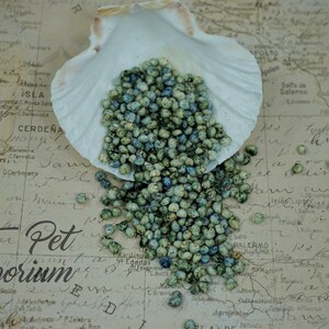 Ocean Puffs - Hermit Crab Treat image 2