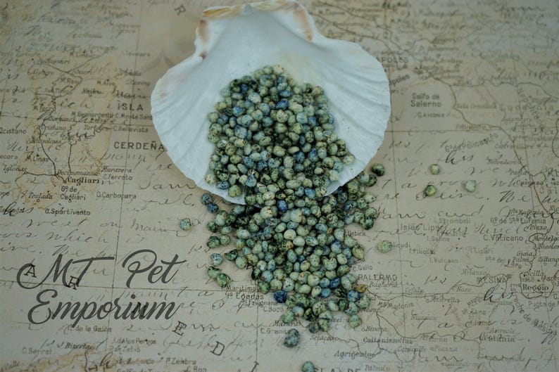 Ocean Puffs - Hermit Crab Treat image 2