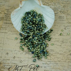 Ocean Puffs - Hermit Crab Treat image 3