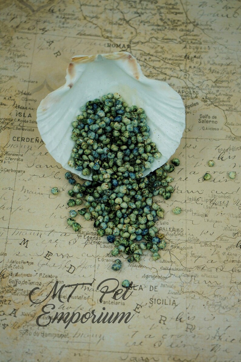 Ocean Puffs - Hermit Crab Treat image 3
