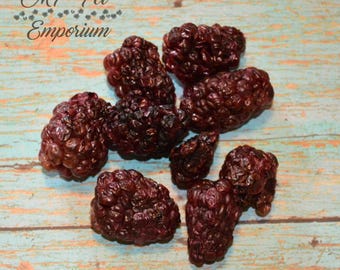 Blackberries - Hermit Crab Food