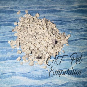Oyster Shells - Hermit Crab Food