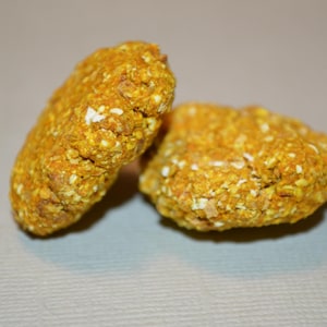 Pumpkin Spice Cookie - Hermit Crab Food