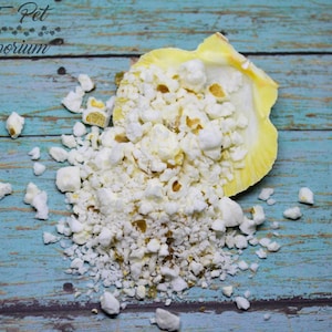 Popcorn - Hermit Crab Food