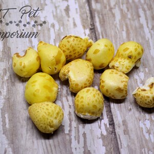 Puffed Corn ORGANIC - Hermit Crab Food