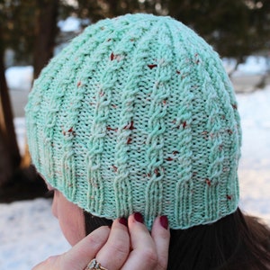May include: A knitted beanie in a mint green hue, featuring a cable knit pattern. The yarn incorporates flecks of red and brown. The ribbed brim is a darker shade of green. The hat is shown on a person's head, with the back of the head and hair visible.