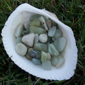 May include: A white seashell filled with smooth, light green and white stones.