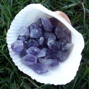 May include: A white seashell filled with small, rough, purple amethyst crystals.