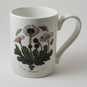 Portmeirion Botanischer Garten Bellis Perennis Daisy Blumen Becher