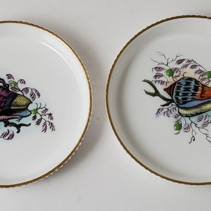 Royal Worcester G676 Handpainted Sea Shell Coasters