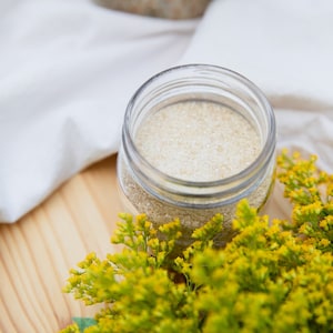 Dehydrated organic sourdough starter