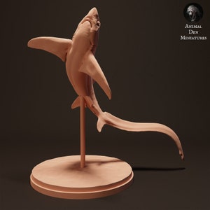 Big Eye Thresher Shark 1:24 scale by Animal Den | Unpainted | Print on Demand | Use Code FREESHIP50