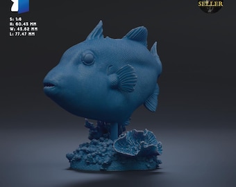 Clown Triggerfish 1:6 Scale by Animal Den Miniatures | Unpainted | Print on Demand