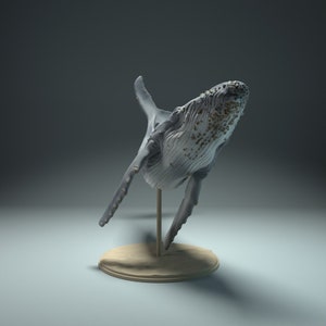 Humpback Whale 1:100 Scale Model by Animal Den | Unpainted | Print on Demand | Use Code FREESHIP50