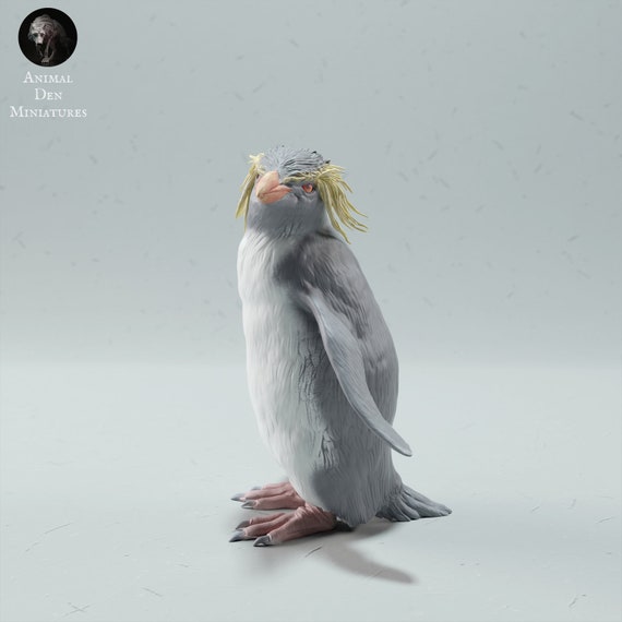 Rockhopper models hot sale