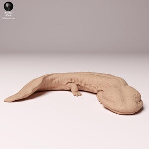 May include: A 3D printed model of a Japanese giant salamander, a large amphibian with a brown, textured skin. The model is posed in a curved position with its tail extended.