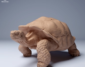 May include: A detailed, hand-painted miniature of a Galapagos tortoise, sculpted in a realistic pose with a textured shell. The tortoise is painted in a light brown color.